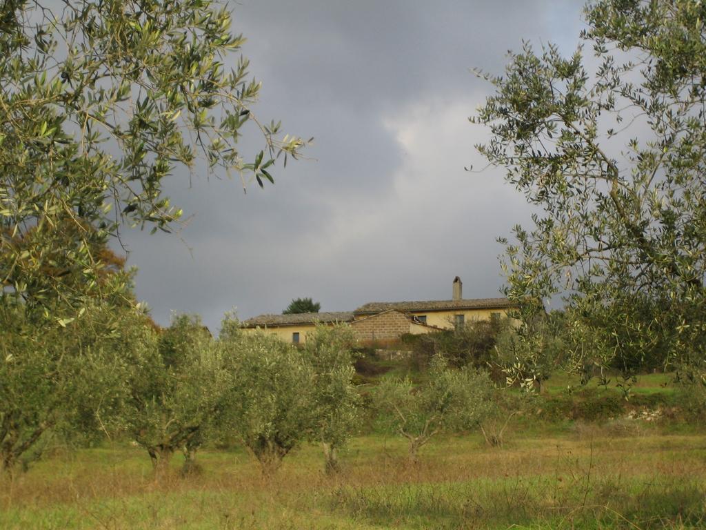 Agriturismo Le Roghete Acquapendente Esterno foto