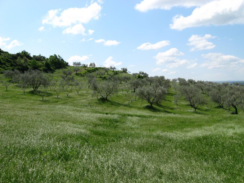 Agriturismo Le Roghete Acquapendente Esterno foto