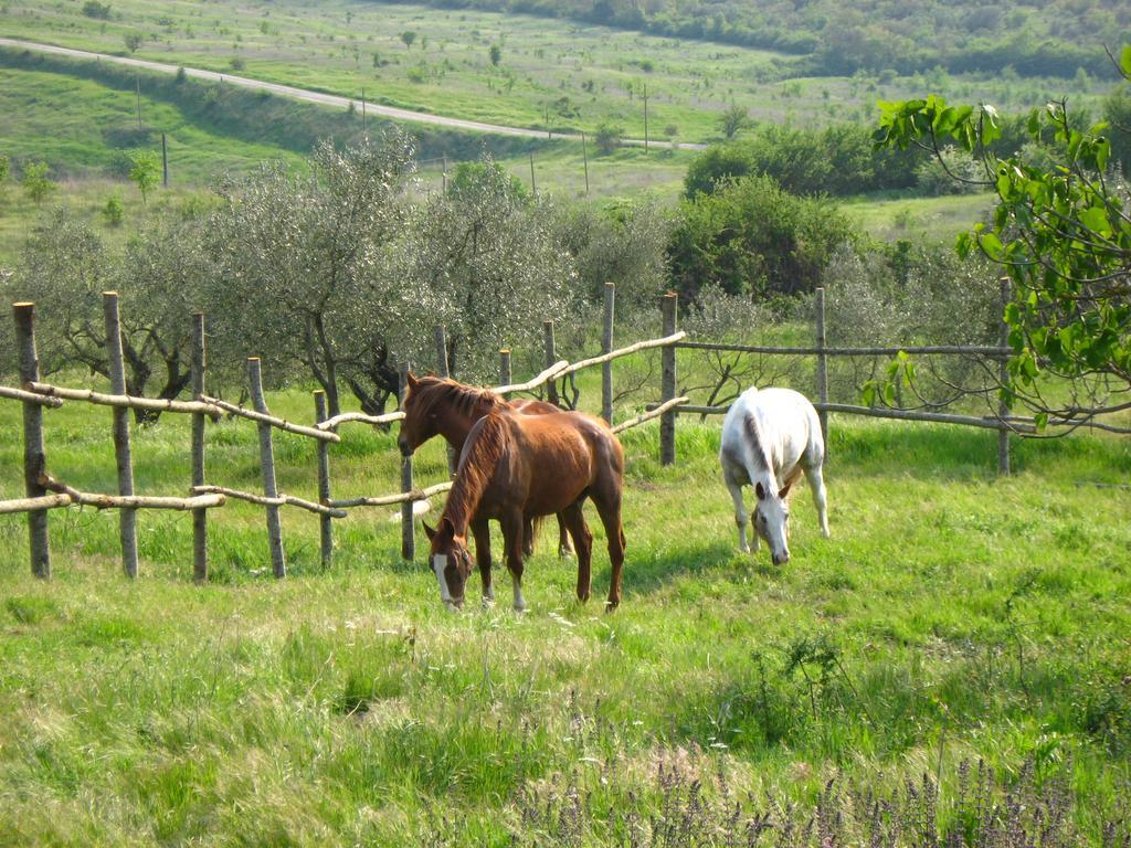 Agriturismo Le Roghete Acquapendente Esterno foto
