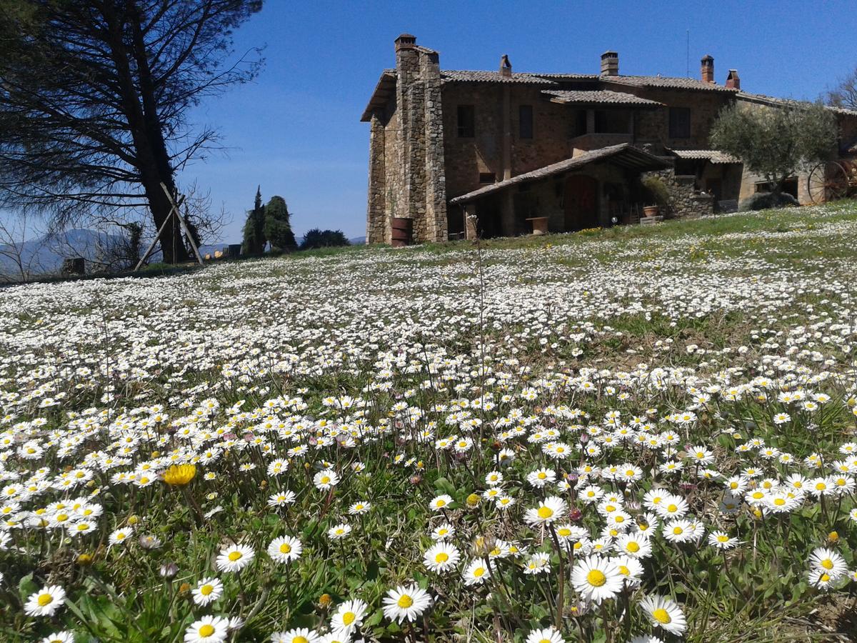 Agriturismo Le Roghete Acquapendente Esterno foto